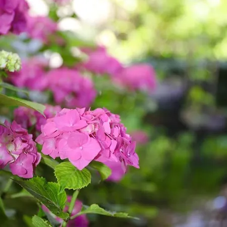 New Orly Hotel München