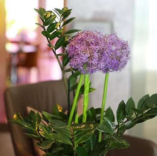 New Orly 4* 慕尼黑